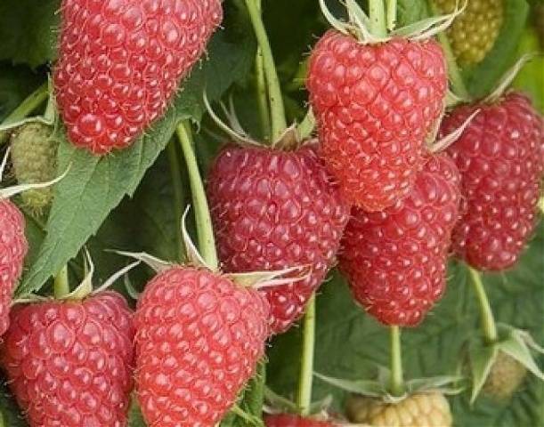 Превью изображения