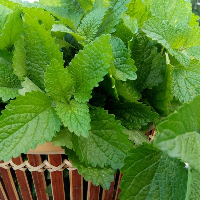 Превью изображения