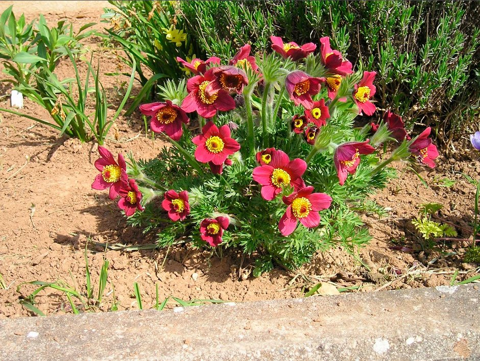 Превью изображения