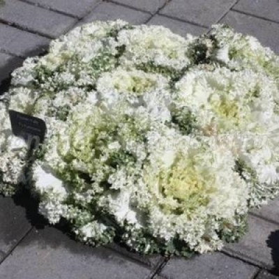 Превью изображения