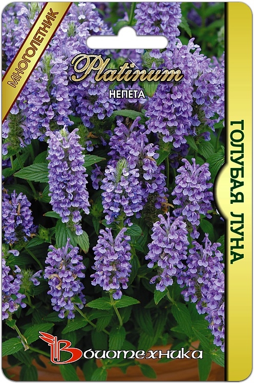 Превью изображения