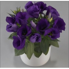 Превью изображения