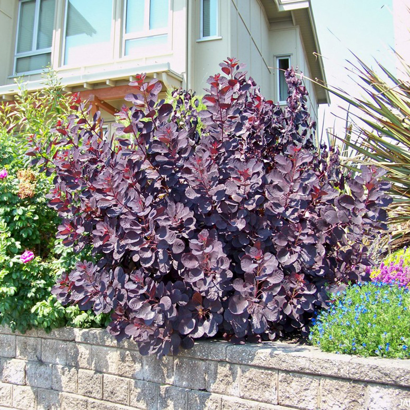 Превью изображения