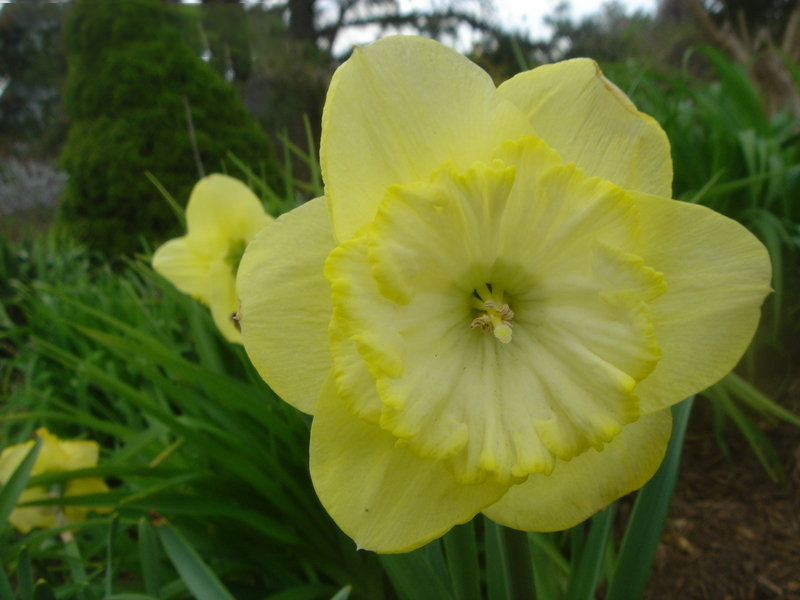 Превью изображения