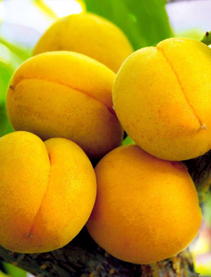 Превью изображения