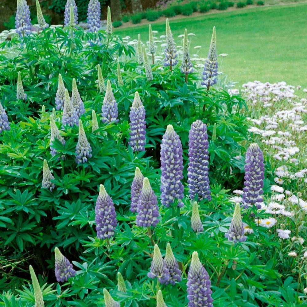 Превью изображения