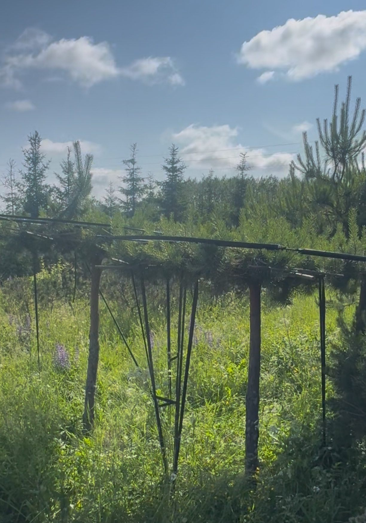 Превью изображения