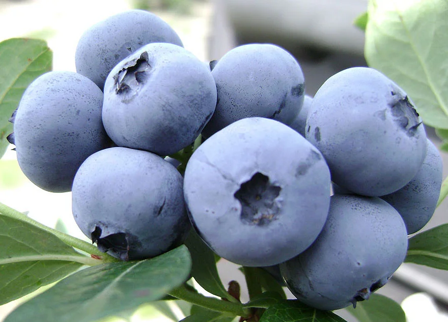 Превью изображения