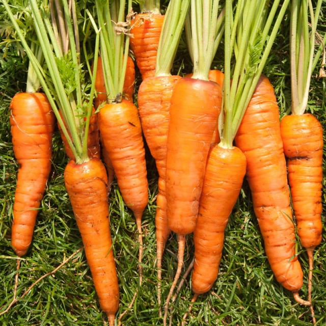 Превью изображения