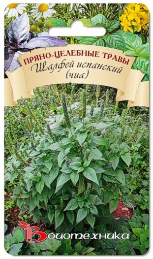 Превью изображения