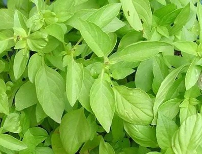 Превью изображения