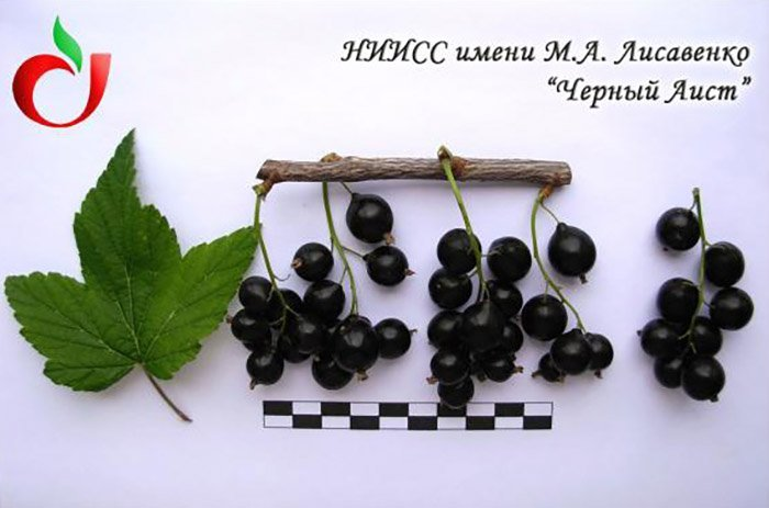 Превью изображения