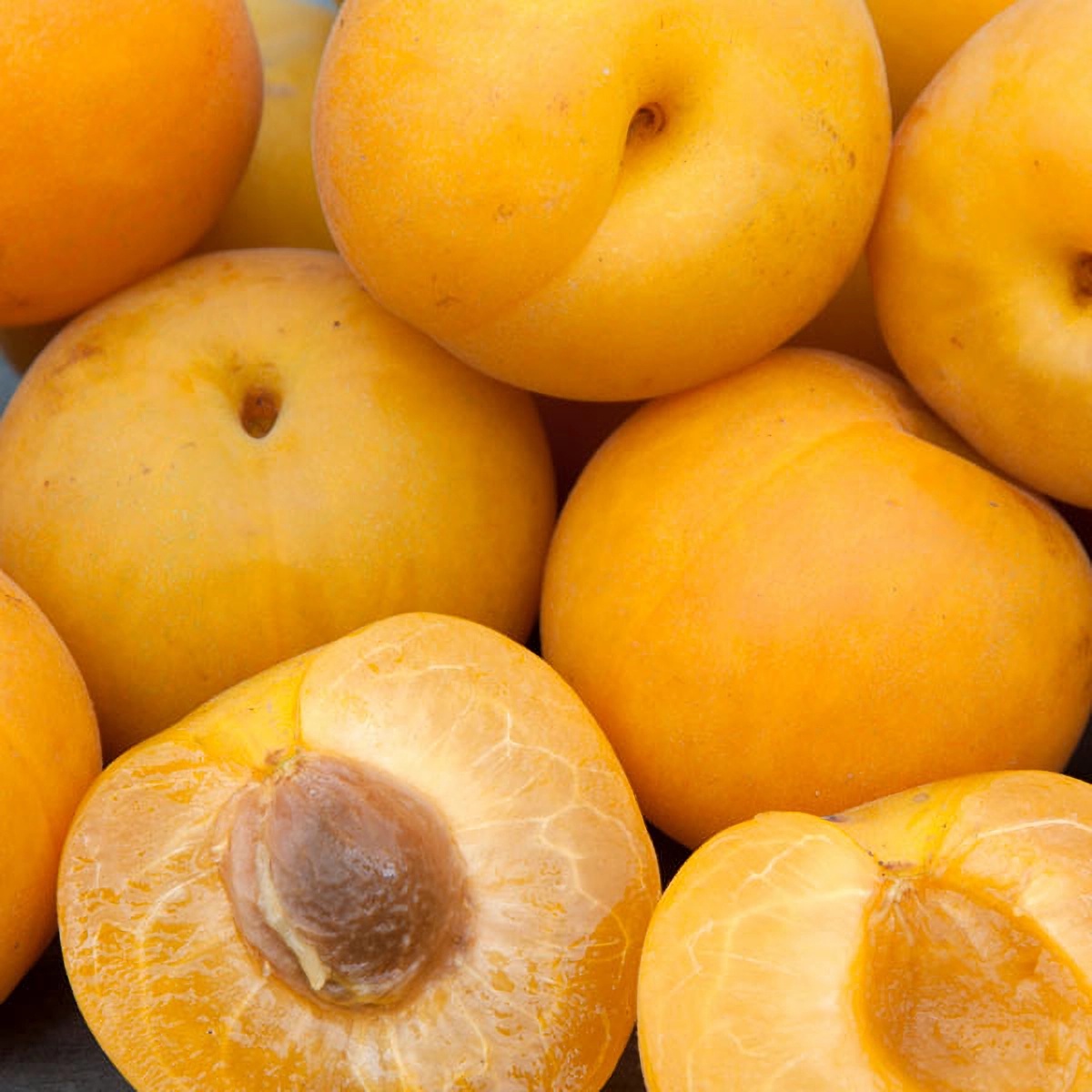 Превью изображения