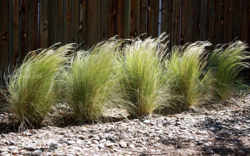 Превью изображения