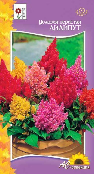 Превью изображения