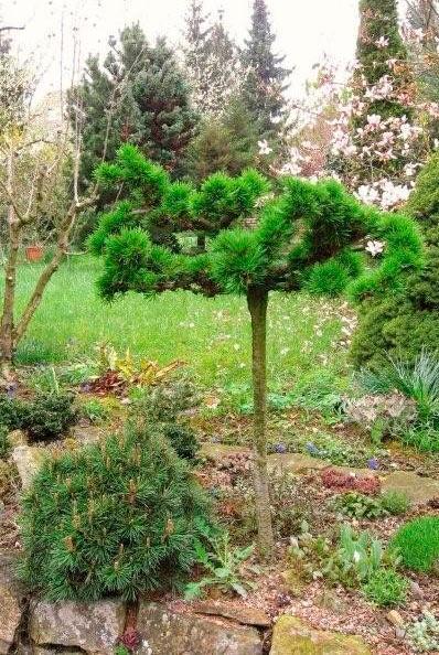 Превью изображения