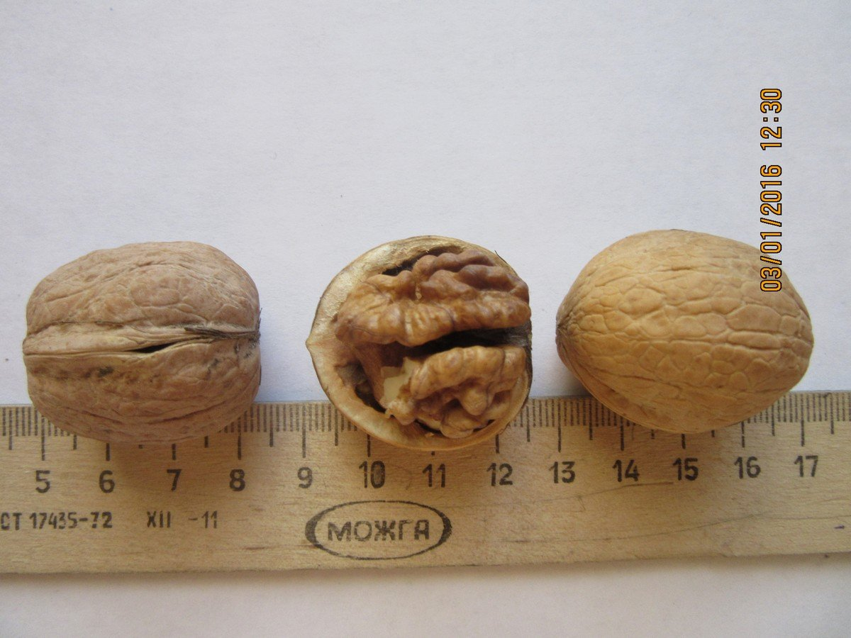 Превью изображения