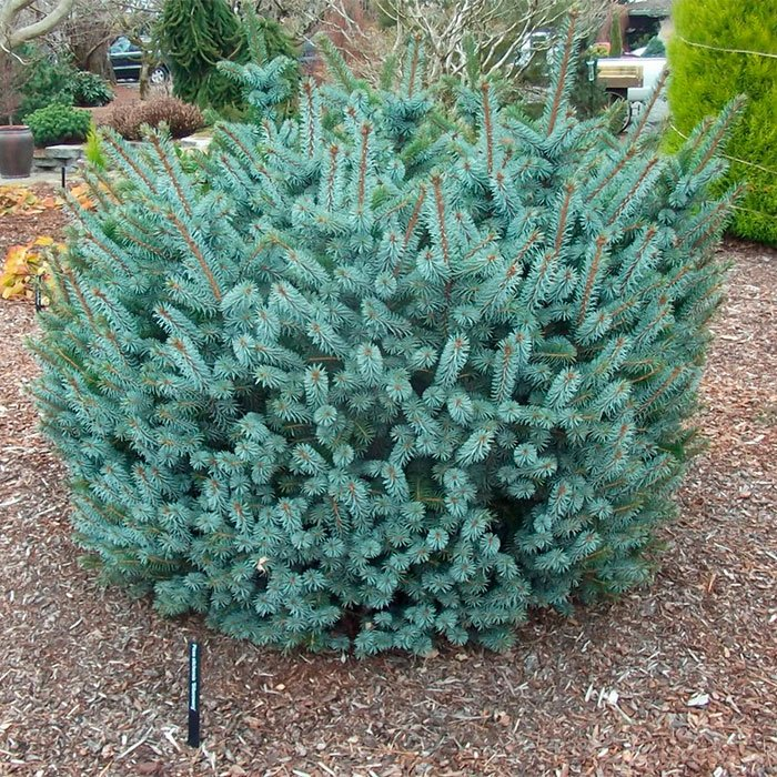 Превью изображения