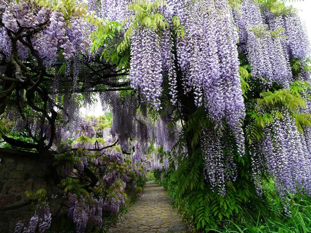 Превью изображения