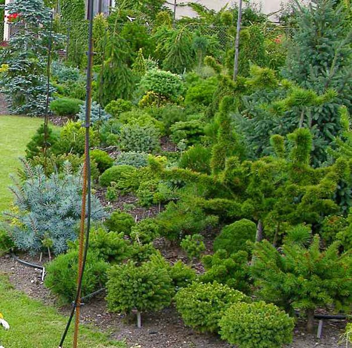 Превью изображения