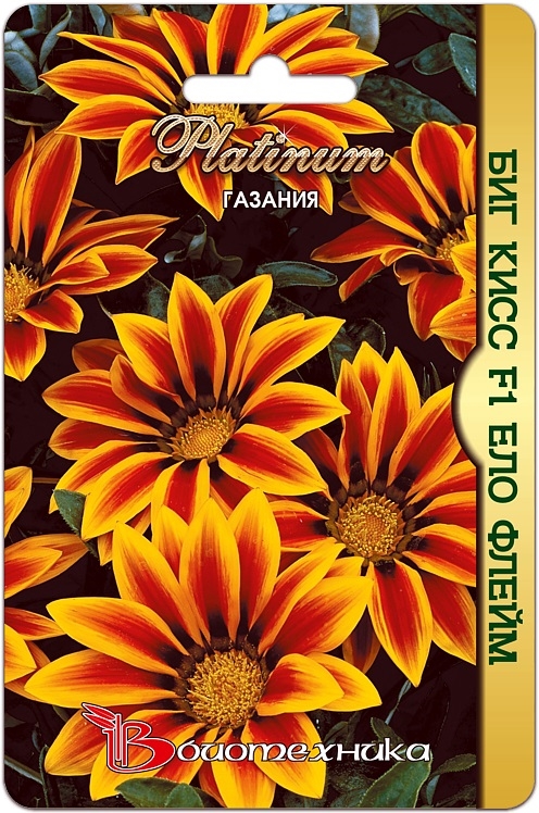 Превью изображения