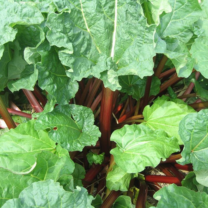 Превью изображения