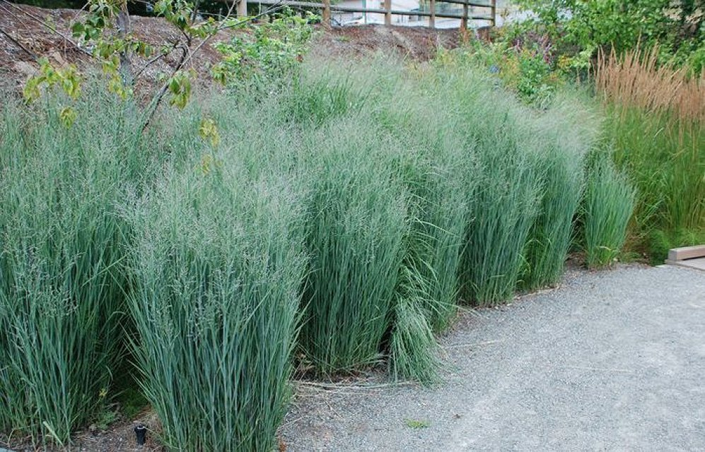 Превью изображения