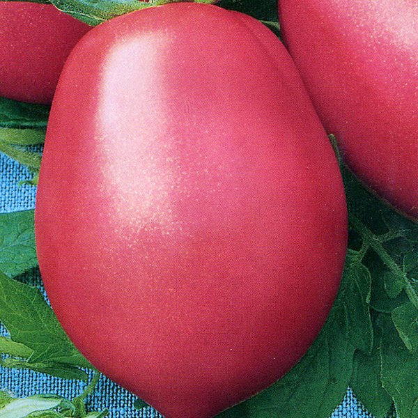 Превью изображения