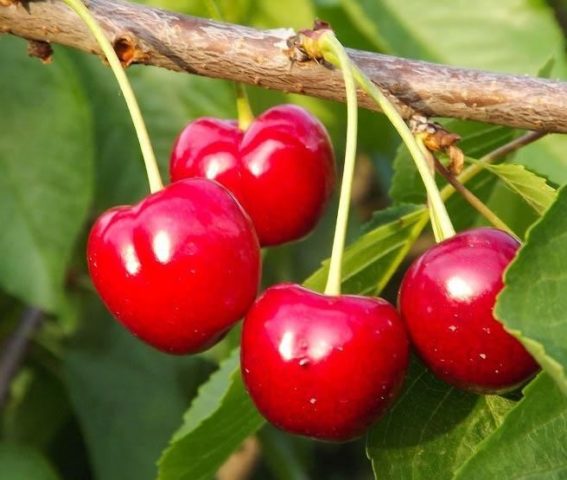 Превью изображения