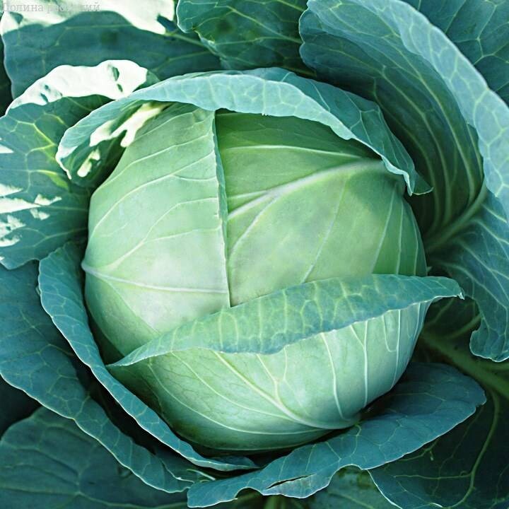 Превью изображения