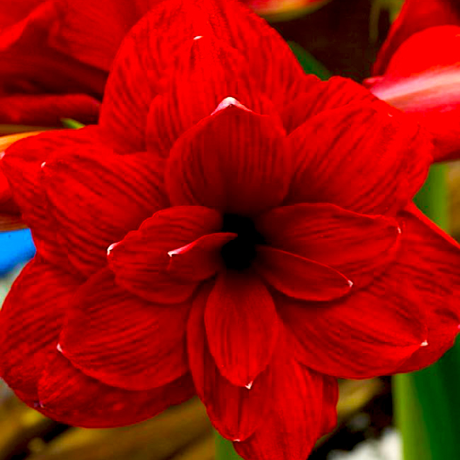 Превью изображения