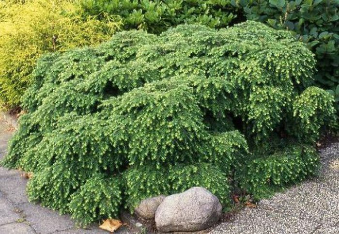 Превью изображения