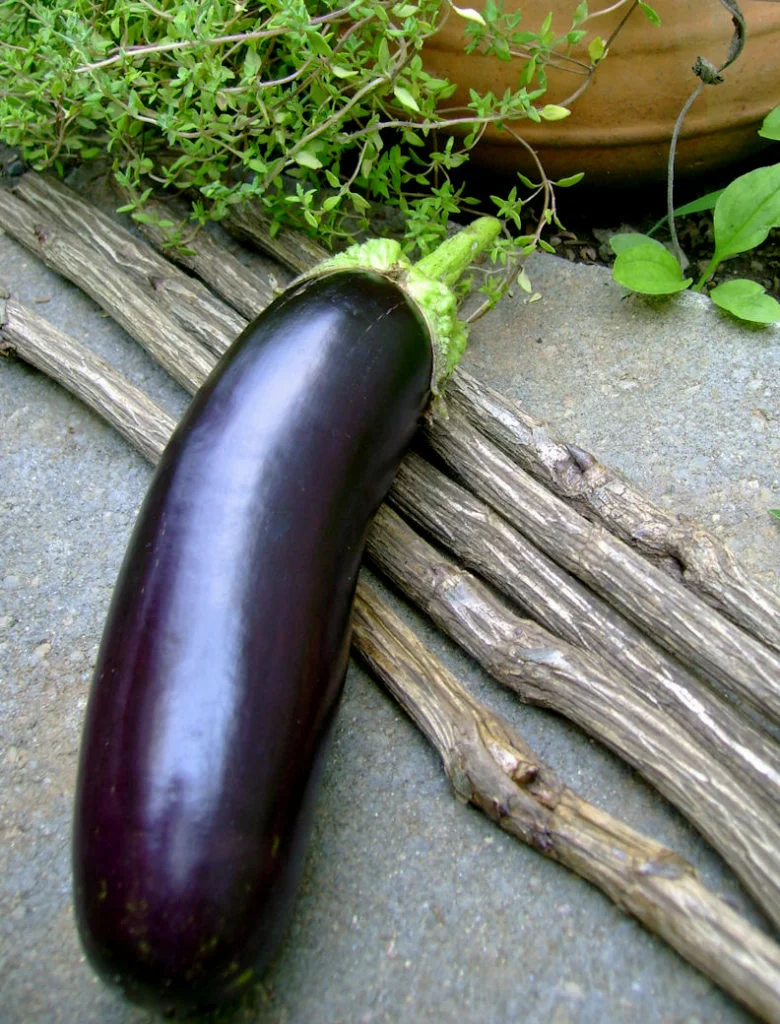 Превью изображения