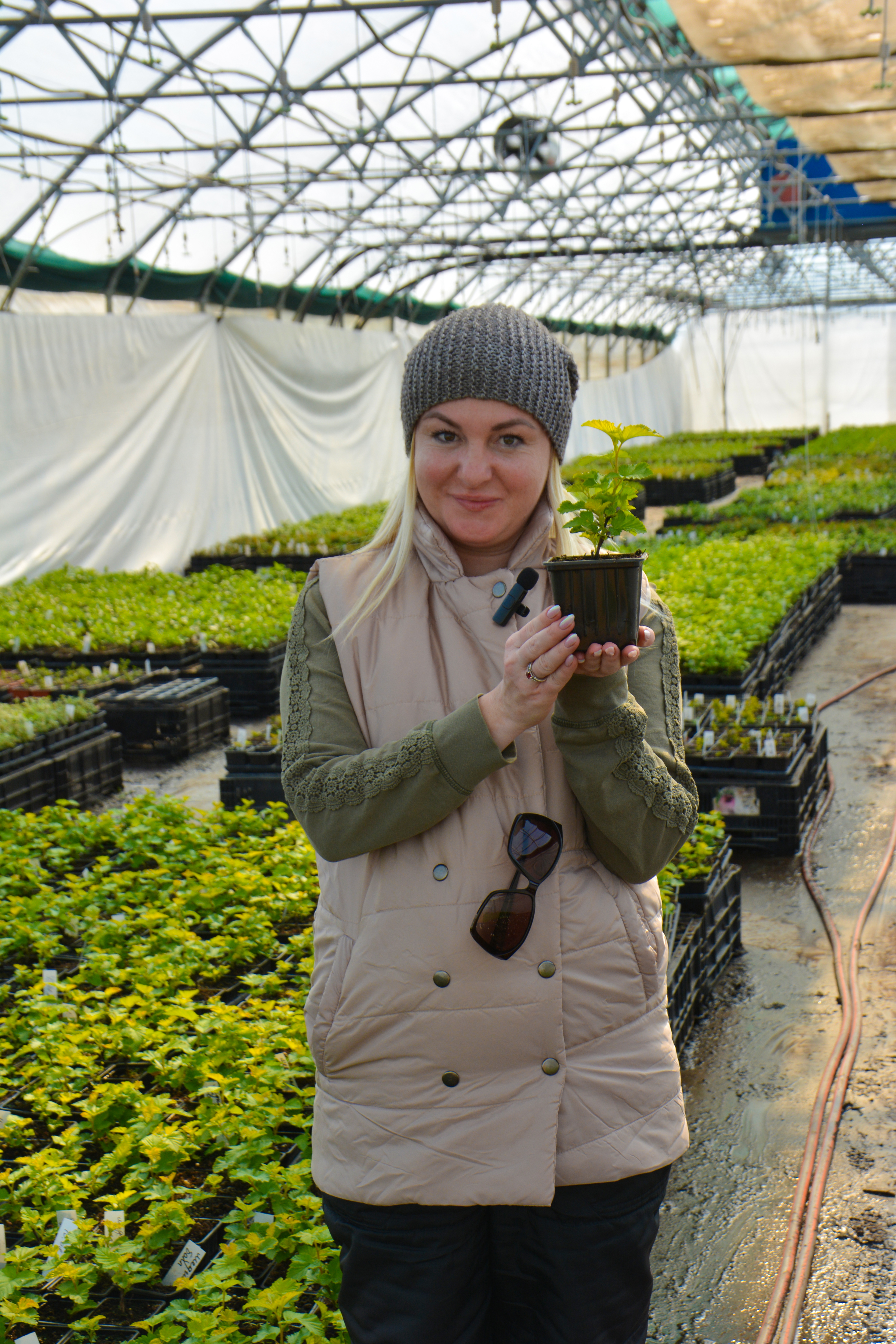 Превью изображения