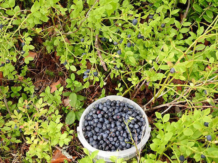 Превью изображения