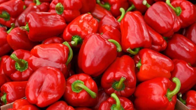 Превью изображения