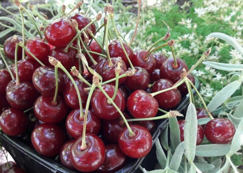 Превью изображения