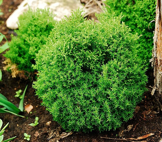 Превью изображения