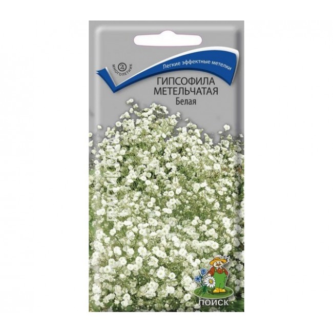 Превью изображения