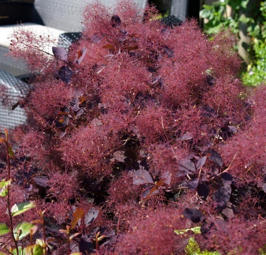 Превью изображения