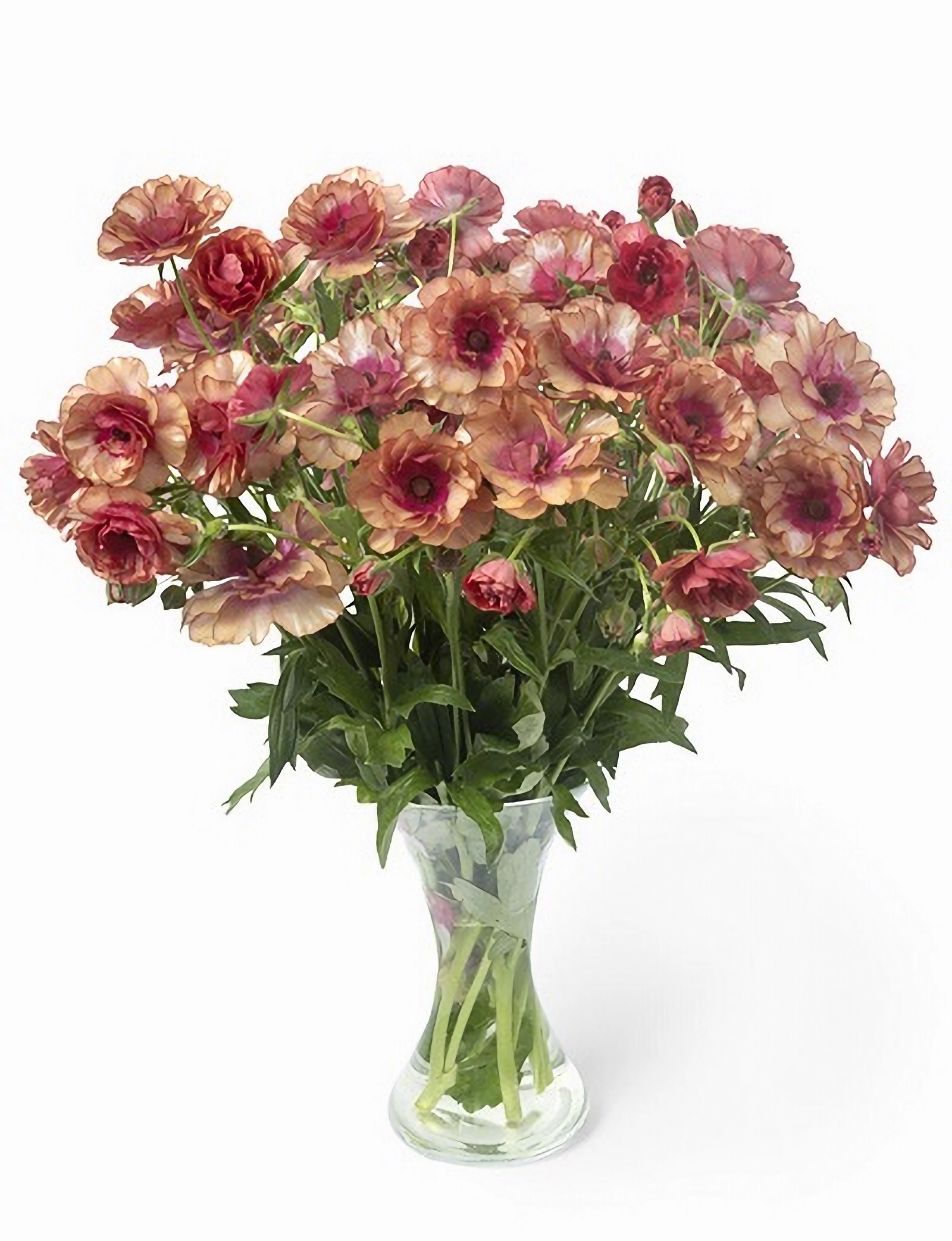 Превью изображения