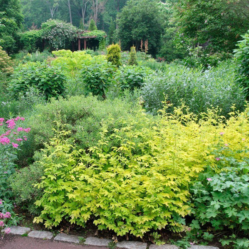 Превью изображения