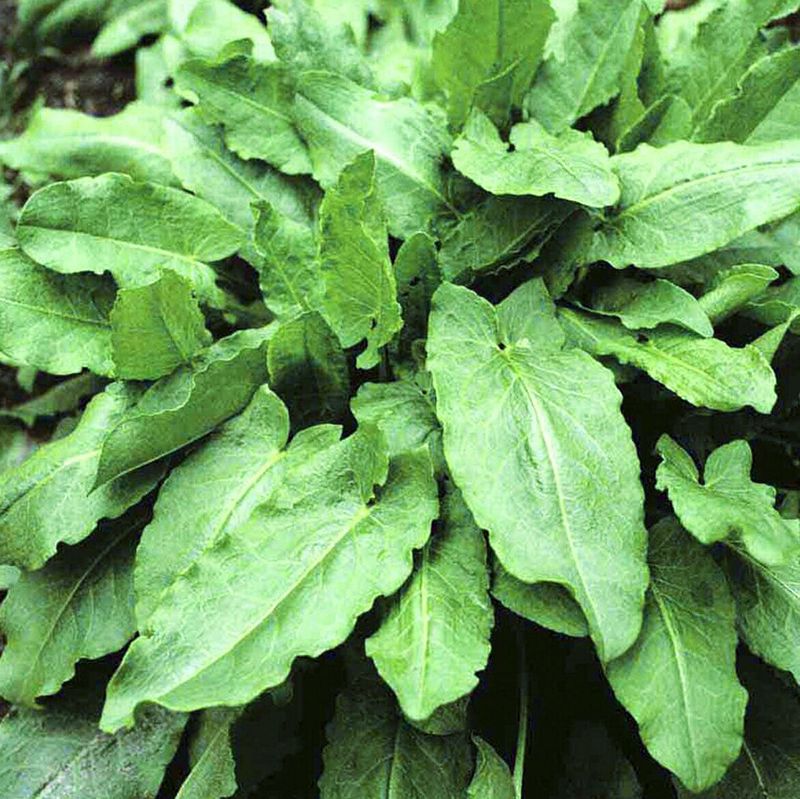 Превью изображения