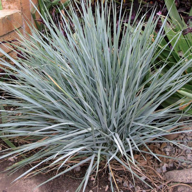 Превью изображения