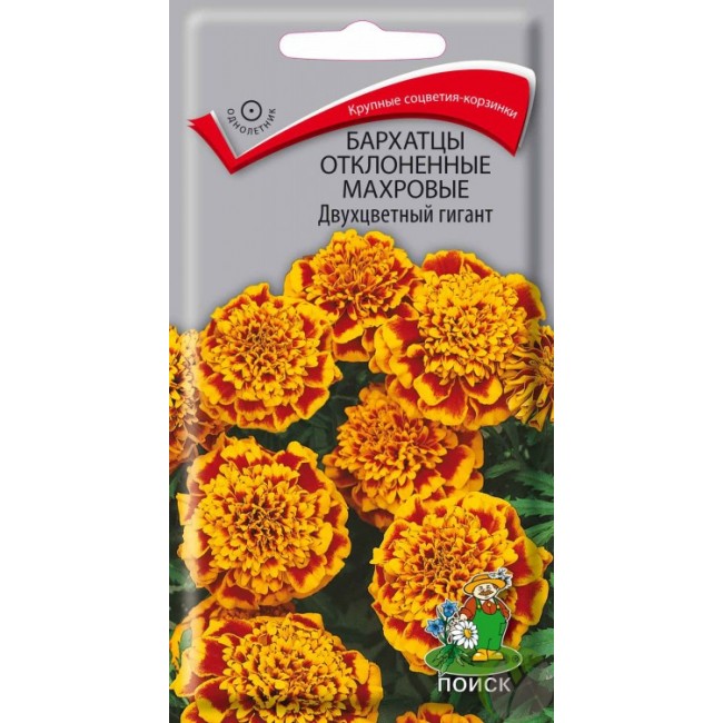 Превью изображения