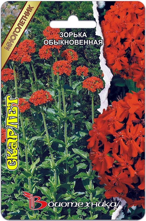 Превью изображения