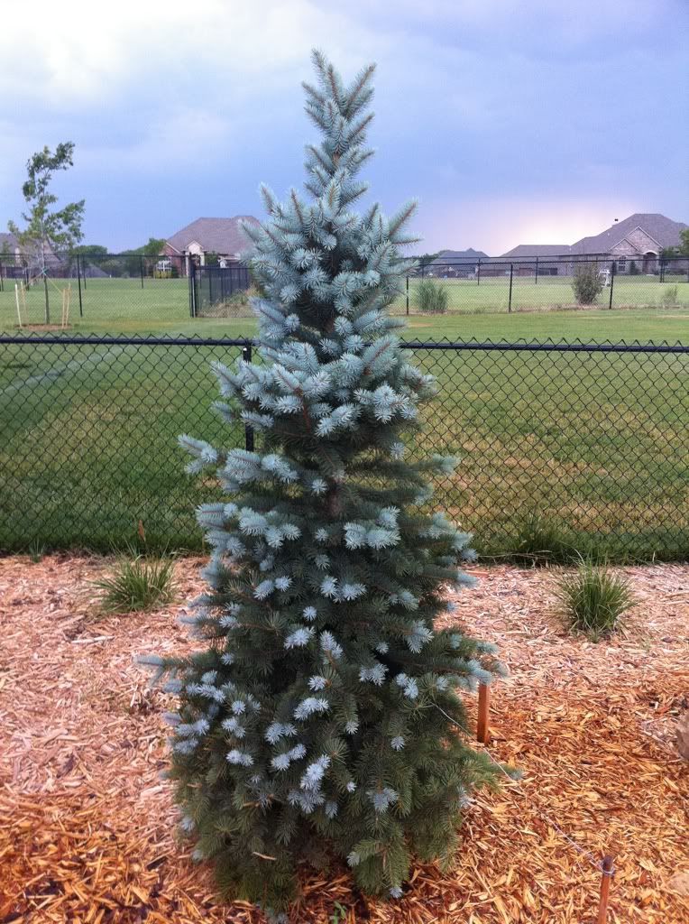 Превью изображения