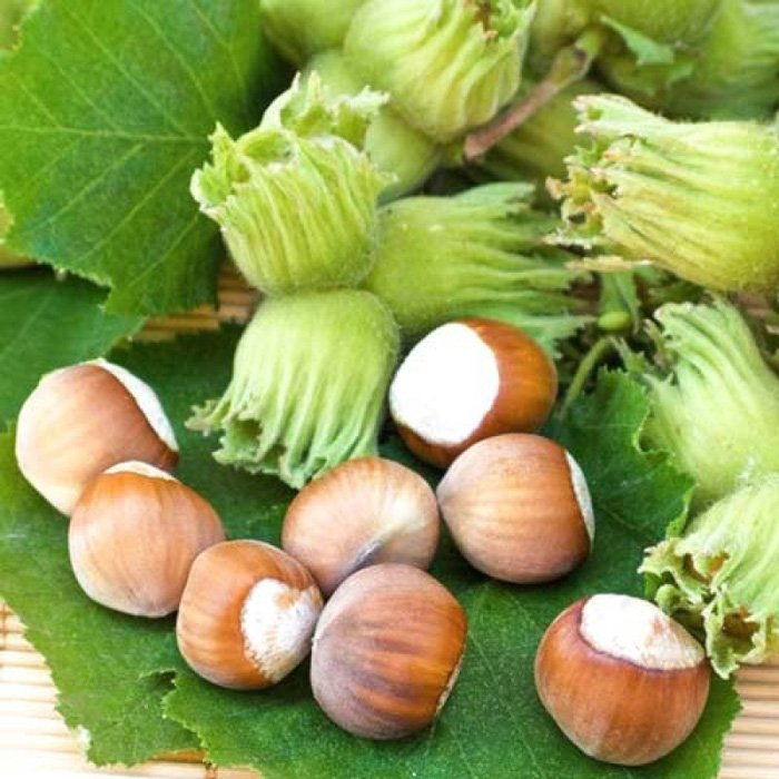 Превью изображения