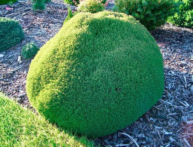 Превью изображения