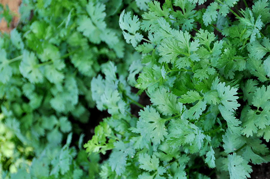 Превью изображения